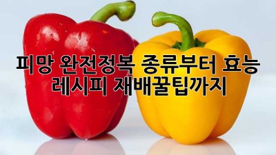 🫑피망 완전정복: 종류부터 효능, 레시피, 재배꿀팁까지!