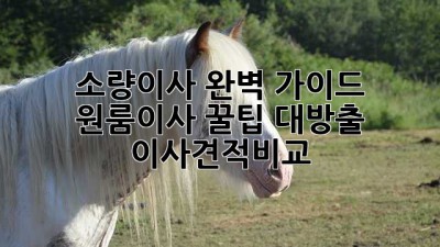 소량이사 완벽 가이드 🚚 원룸이사 꿀팁 대방출! #이사견적비교